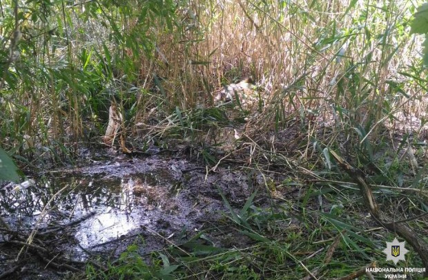 Пропавшую на Днепропетровщине девочку нашли убитой