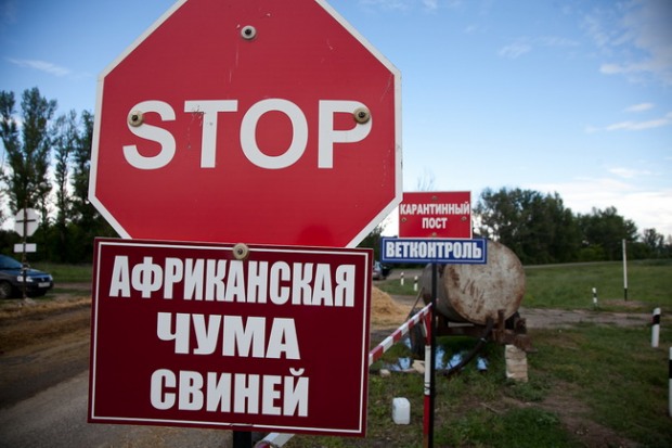 Днепропетровцев предупреждают о мясной опасности