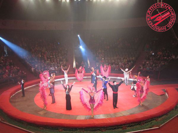 Если бы все попутчики были такими! (ФОТО, ВИДЕО)