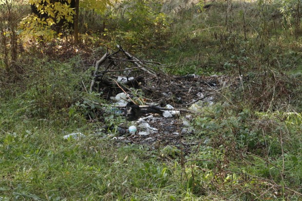 За полгода горы мусора выросли