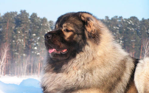 – 19 холодно