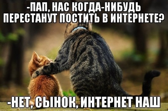 Действительно ли мы одни на планете?