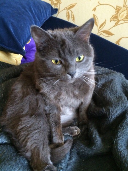 Сказка, в которой конец зависит от нас.