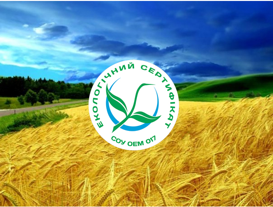 Почему фермерам выгодно производить экопродукты