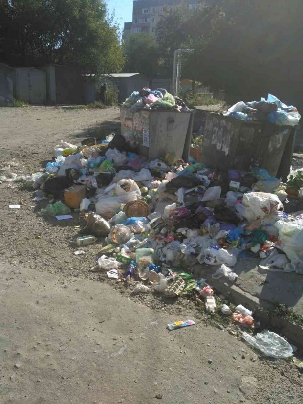 В одном из дворов Днепра мусорные баки «утонули» в мусоре