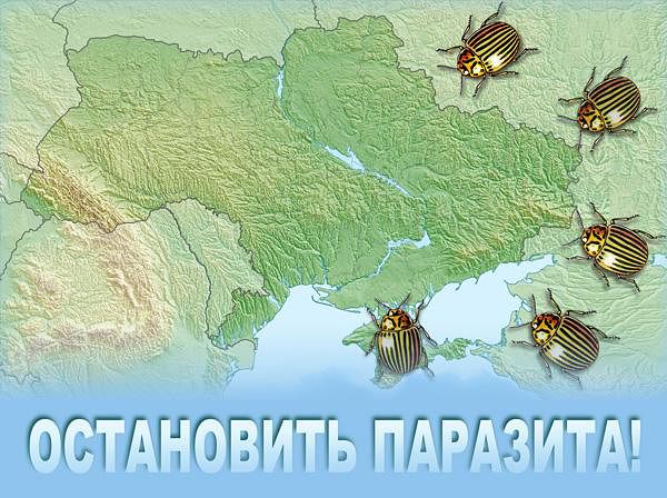 Вторжение в Украину назначено на 14 декабря?
