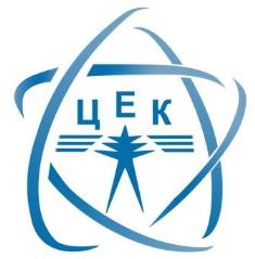 Актуальное интервью. “Центральная энергетическая компания”