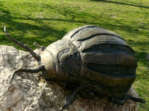 Священный жук