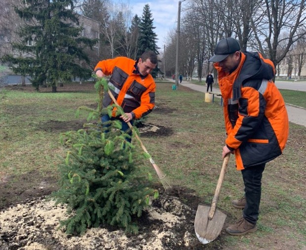 Газовики высадили елки в Магдалиновке