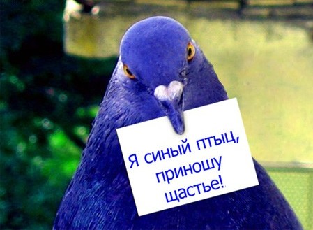 Притча о чашках кофе, или почему мы не умеем быть счастливыми