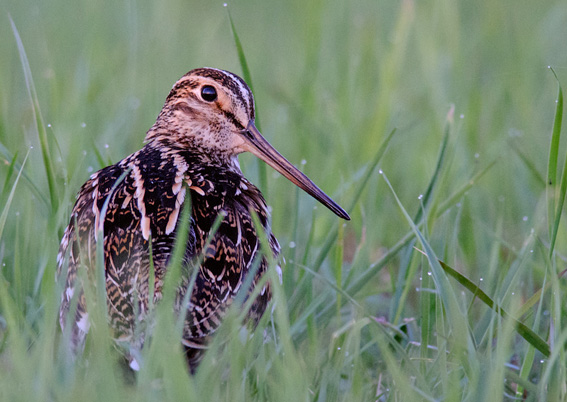 Чрезвычайно важные позитивные изменения