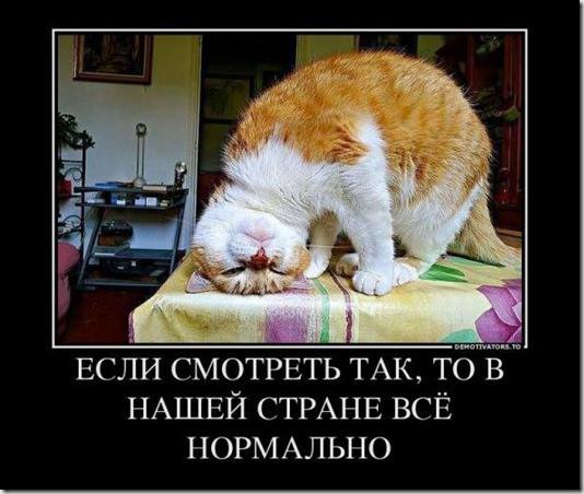 Жители видят кто оккупирует их земли и какой национальности “зеленые человечки”