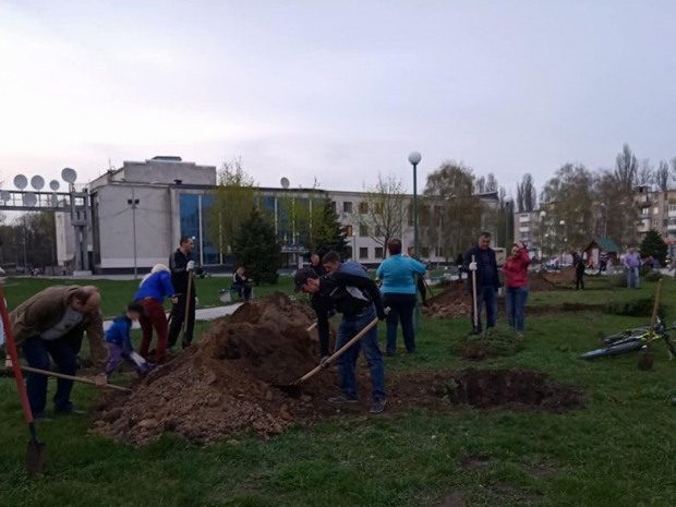 У Вільногірську висадили сорок молодих ялинок.