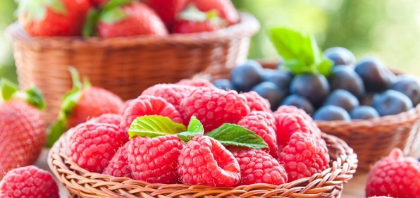 Керівник СОК «Перший ягідний»: «Щоб село вижило, необхідно створювати кооперативи»