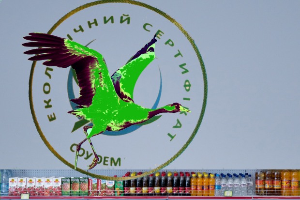 В поисках “Зелёного журавлика” (Видео)