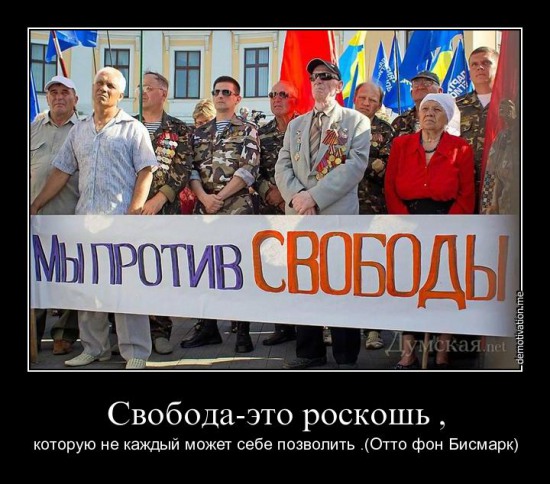История побежденных. Вольница