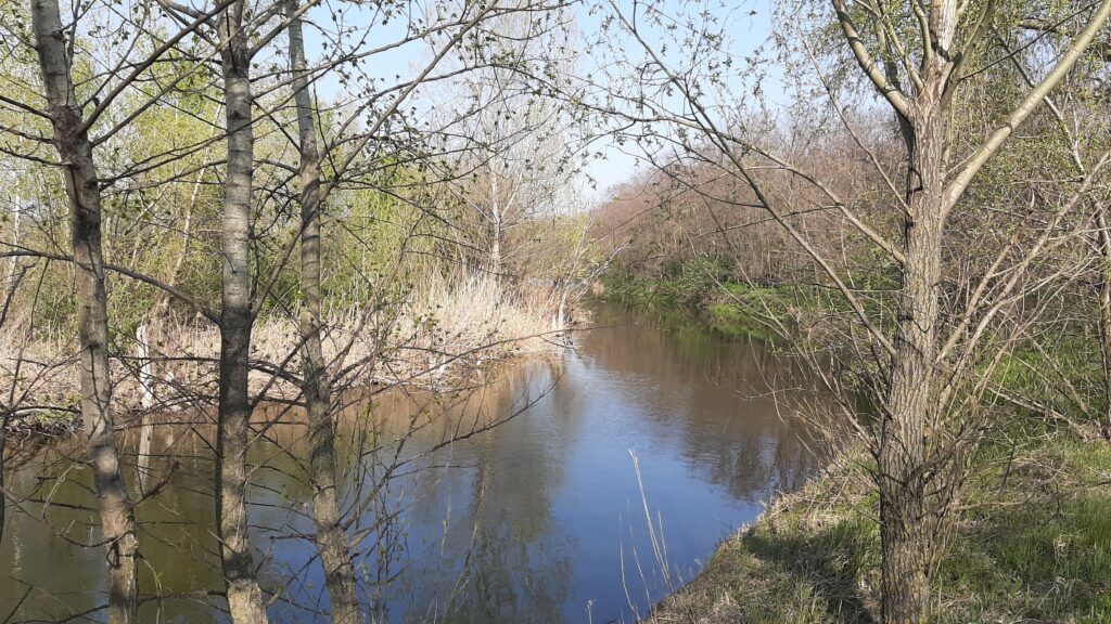 На Дніпропетровщині почнуть оздоровлення річок