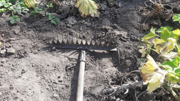 Двічі на граблі?