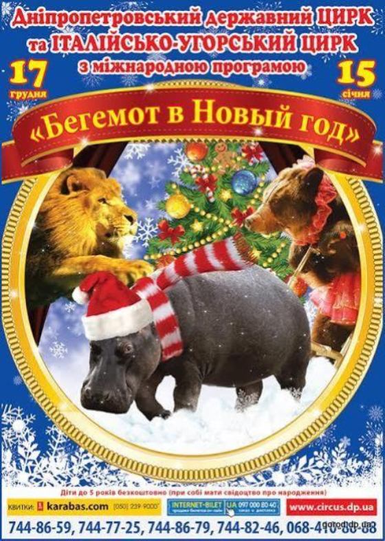 Артисты, животные и «Бегемот в Новый год» приглашают в цирк