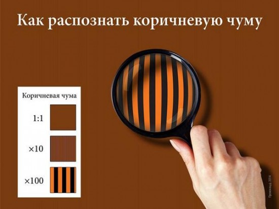 Помощники Гитлера в Крыму: вчера и сегодня