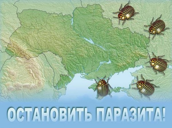 Вторжение России: продолжение следует?
