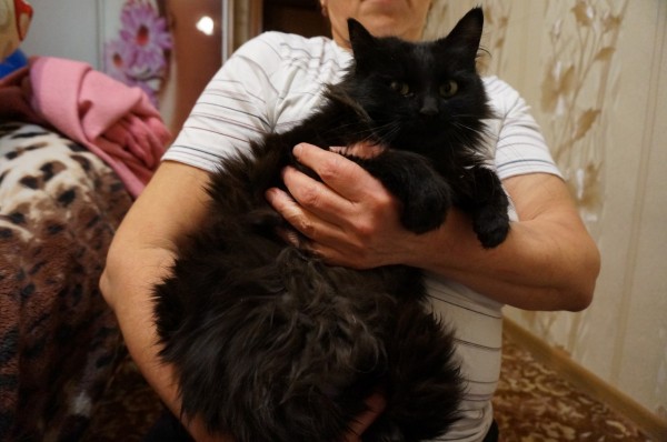 Ласка и кошке приятна.
