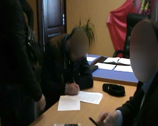 Прокурорская «крыша» для вырубки леса не состоялась