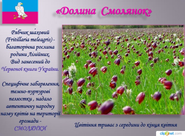 Перещепинська ОТГ кличе гостей на фестиваль національних культур SmolyankaFest