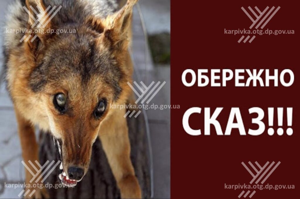 На Дніпропетровщині зафіксований спалах сказу