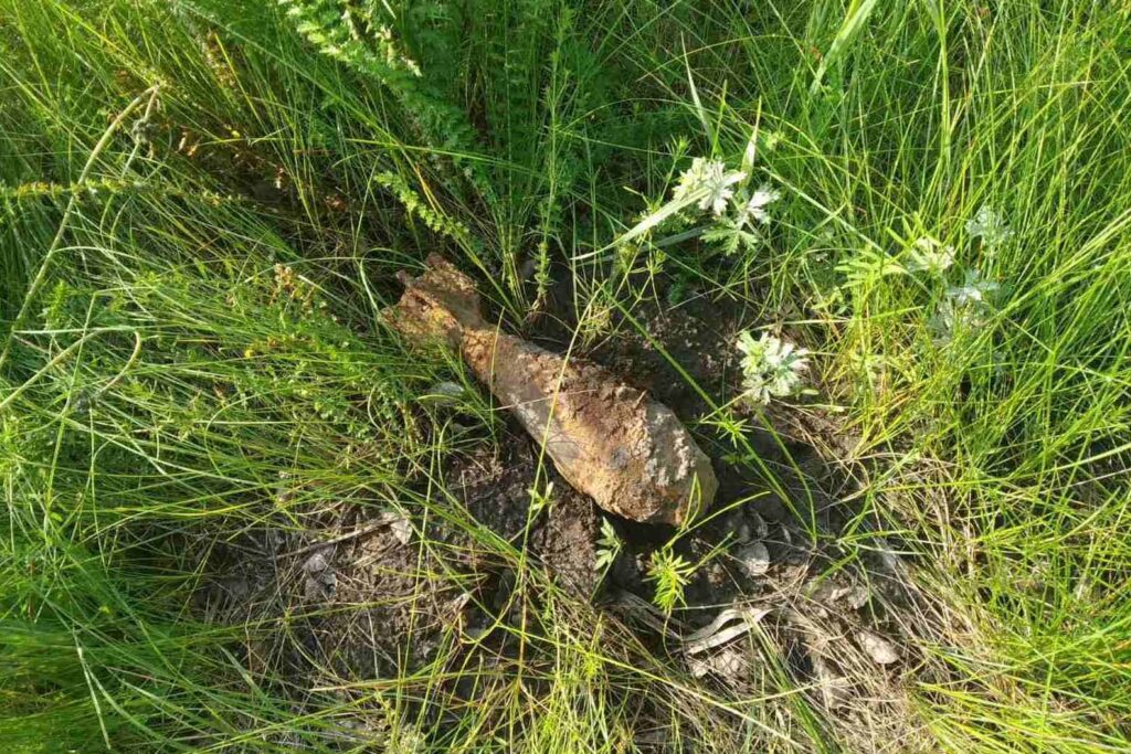 Під Дніпром надзвичайники знищили міну, що роки пролежала в землі