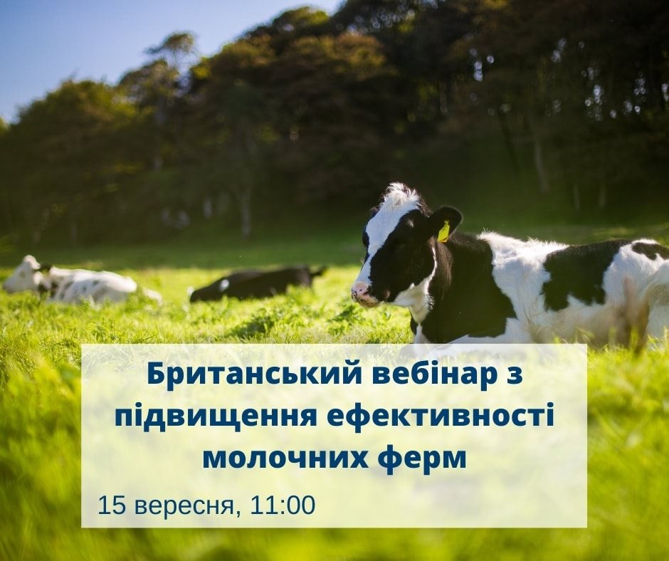 Фермерам розкажуть, як покращити прибутковість молочних ферм