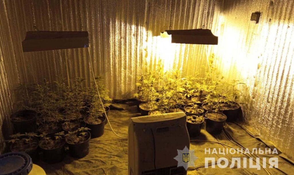 Продавали наркотики: у Синельниківському районі поліцейські затримали злочинне угруповання