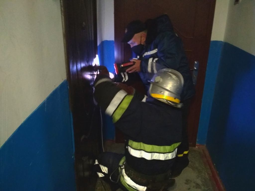 Кликала на допомогу: у Вільногірську рятувальники надали допомогу співробітникам поліції в відкриванні дверей квартири
