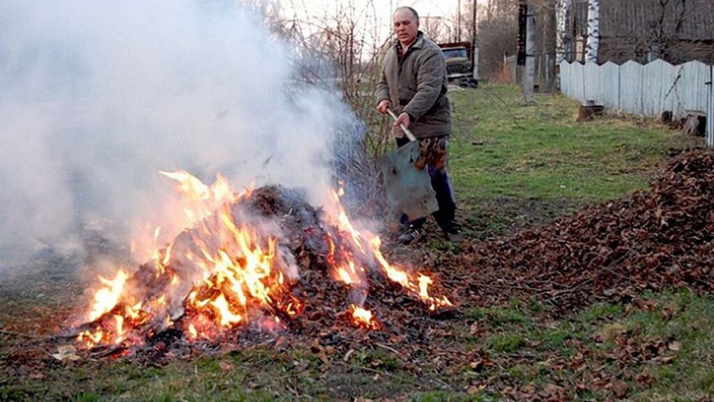 Спалюеш листя? Отримай штраф! Поліція чекає дзвіків небайдужих дніпрян