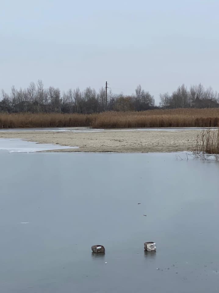 Озеро Карпенкове засохло та покрилося очеретом