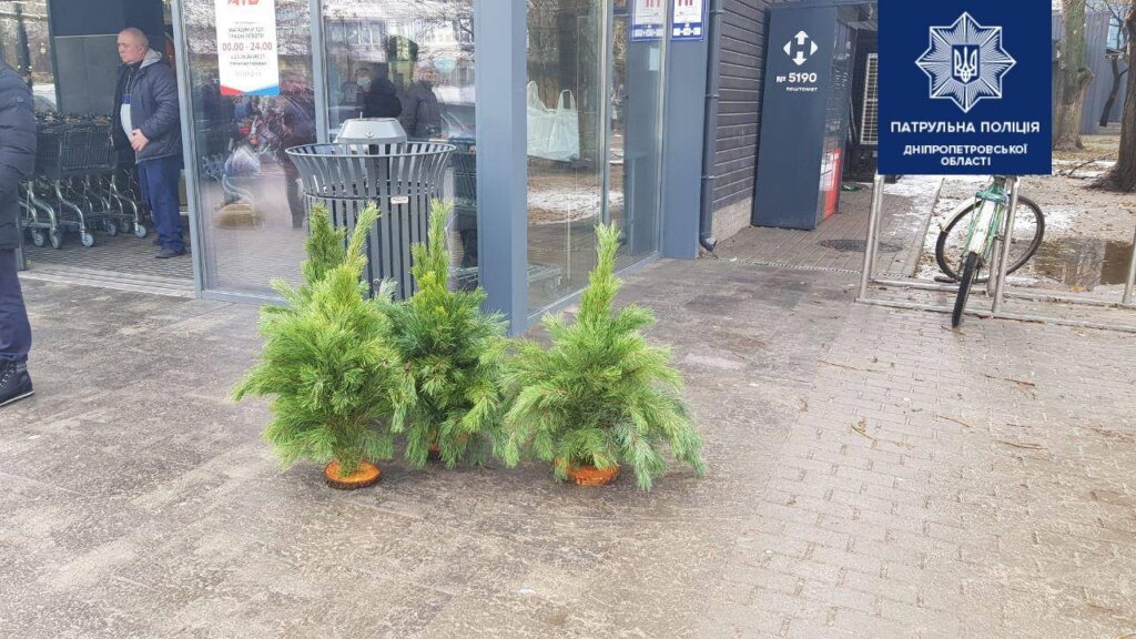 Побили та забрали ялинки: у Новокодацькому районі затримали ймовірних грабіжників