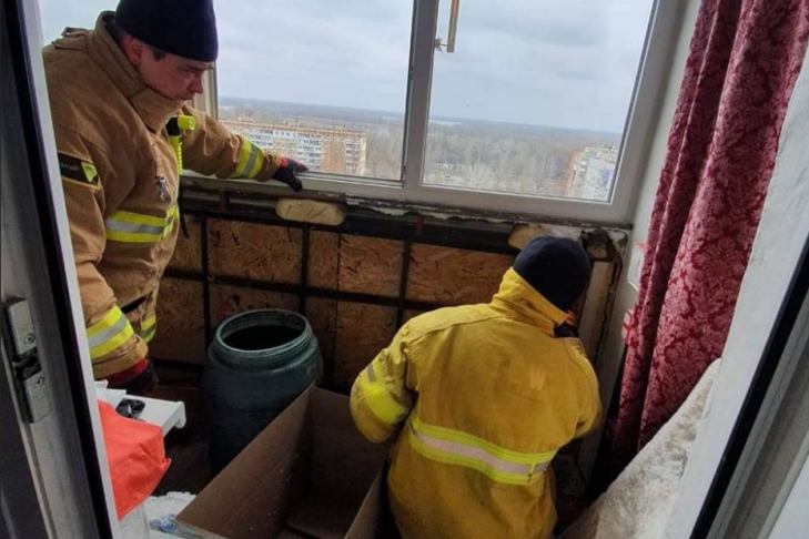 У дніпровській багатоповерхівці виявили півтисячі кажанів