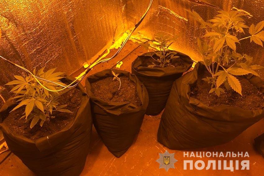 На Дніпропетровщині поліцейські вилучили наркотиків на 400 тис. грн