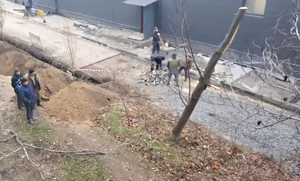Дерева заважали успішній торгівлі «АТБ». Їх зрізали (+ВІДЕО)