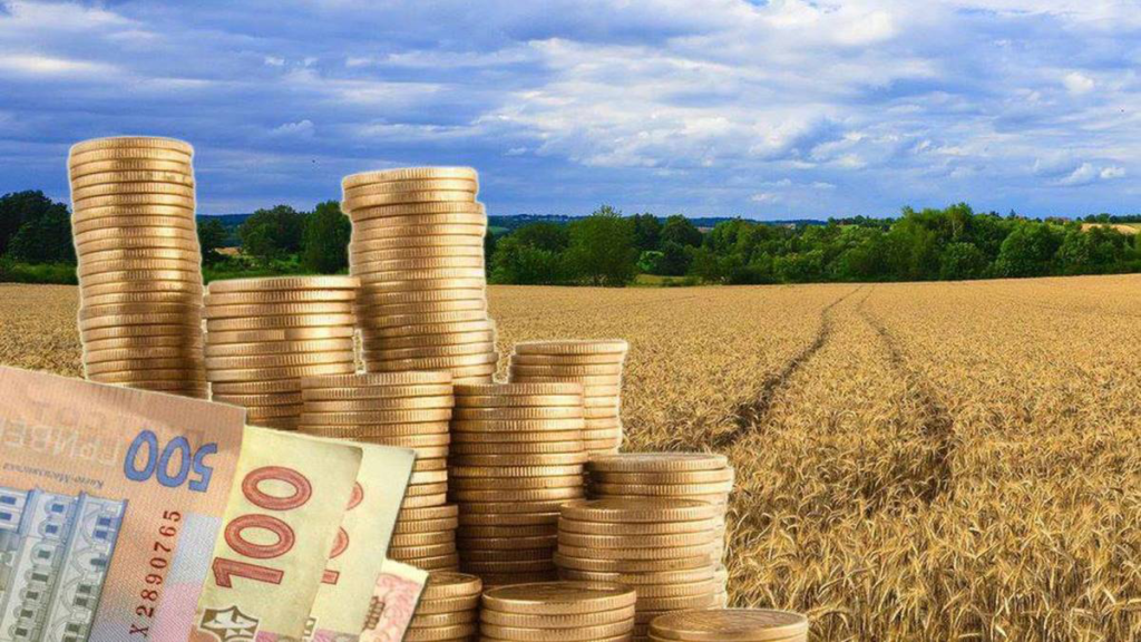Де шукати інформацію про землю, передану громадам Дніпропетровщини