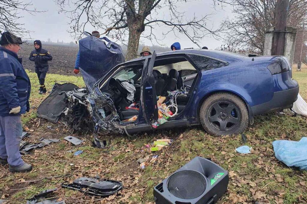 Під Дніпром Audi «вилетів» з дороги в дерево: водія вирізали з машини (фото)