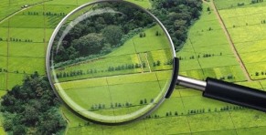 На Дніпропетровщині учасники організованої злочинної групи підозрюються у розтраті бюджетних коштів