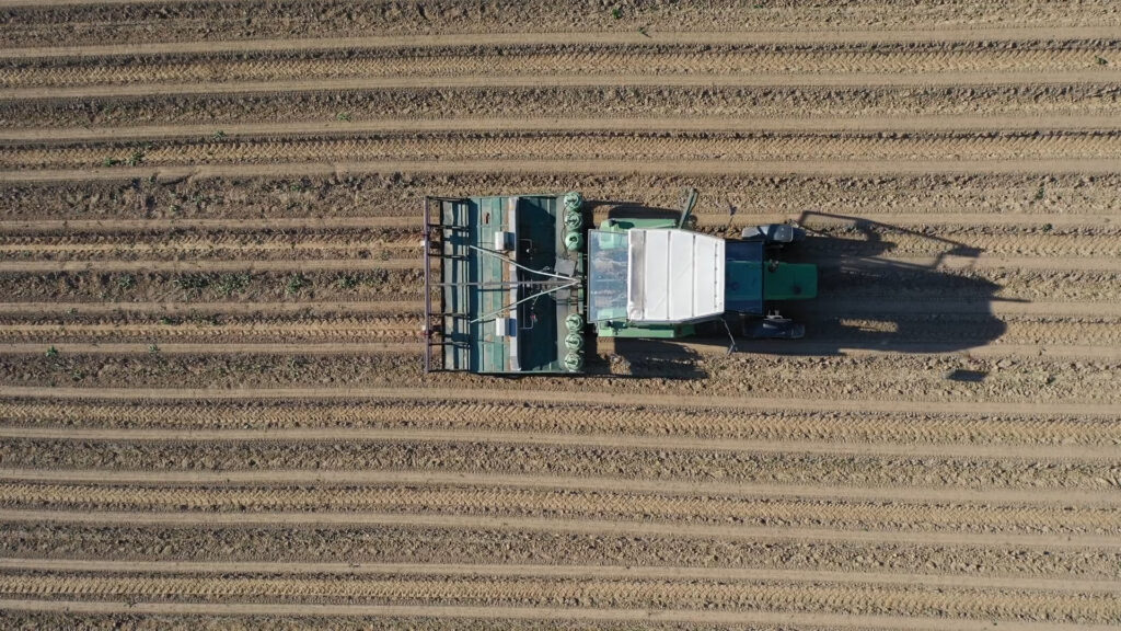 Наодинці з гігантом: як у карантин “добивають” дрібного фермера