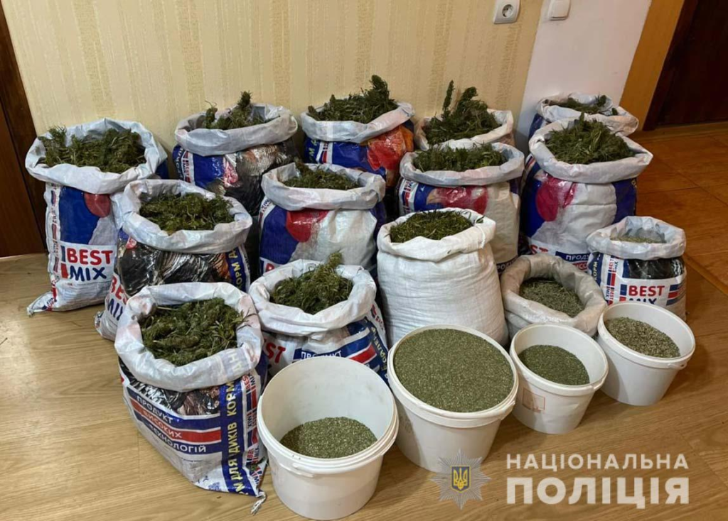 У кам’янчанина вилучили 15 кг канабісу