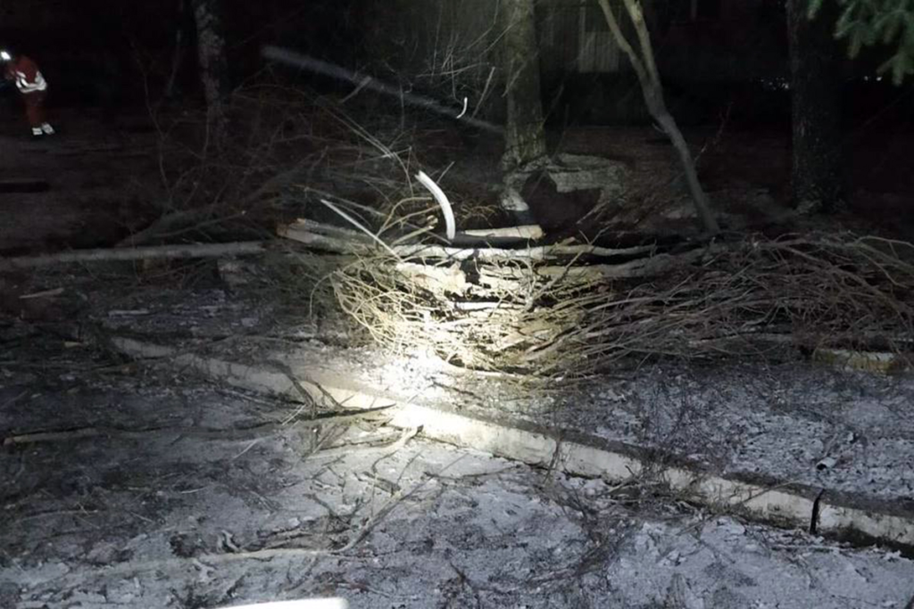 У Дніпрі дерево впало на дроти електромережі