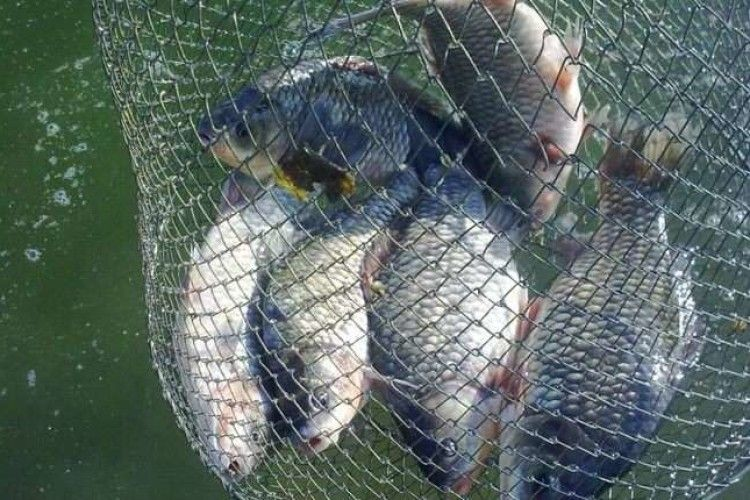 У Дніпрі поліцейські зловили двох рибалок-браконьєрів