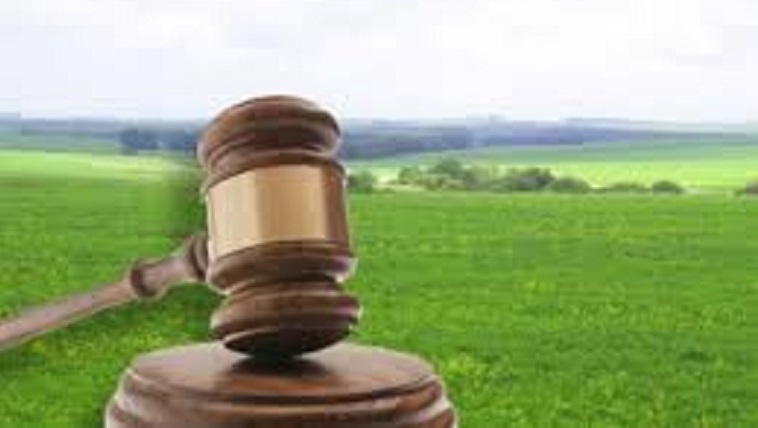 Психоневрологічний інтернат незаконно здав в оренду 132 га ріллі