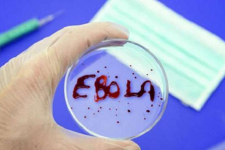 У Гвінеї повідомили про спалах лихоманки Ебола