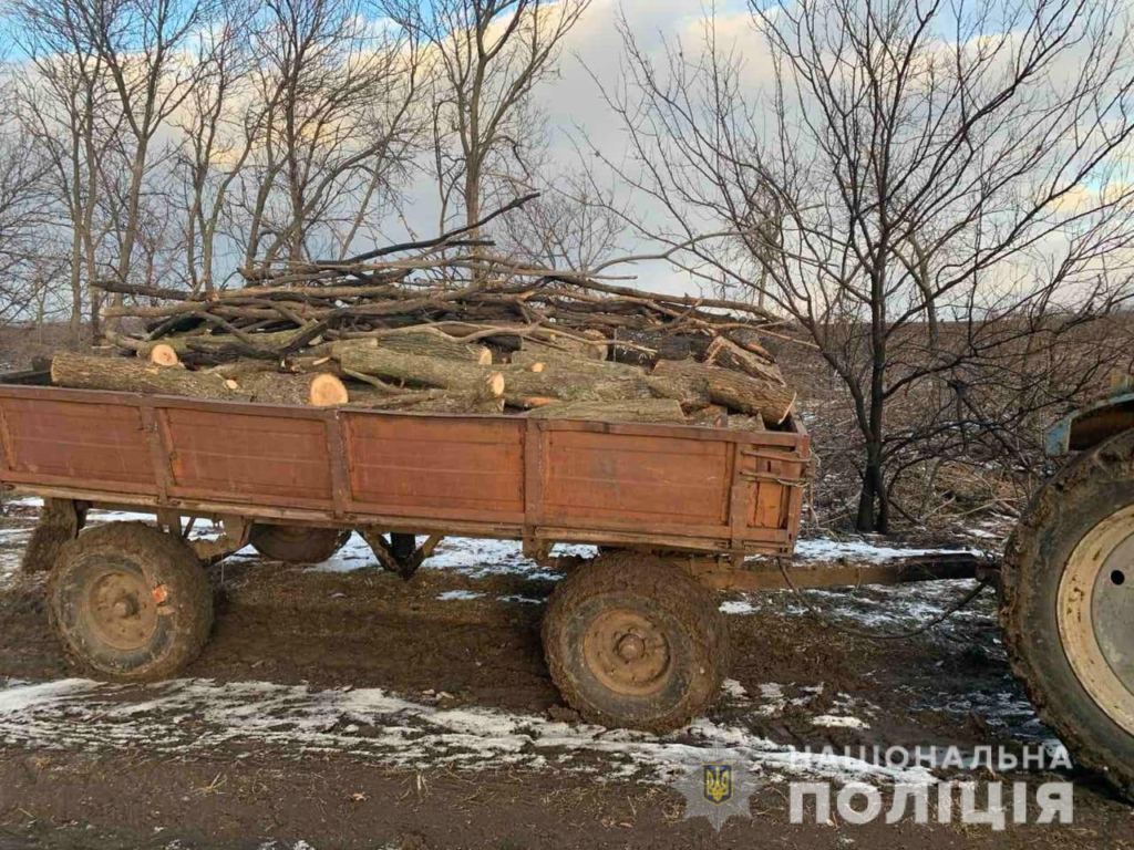 За добу на Дніпропетровщині затримали трьох осіб, що підозрюються у незаконній вирубці дерев
