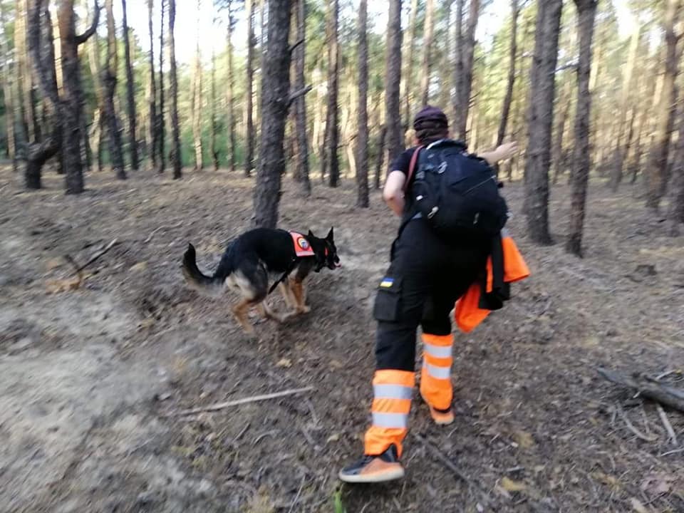 Жінку, яка зникла на Дніпропетровщині, знайшли кінологи
